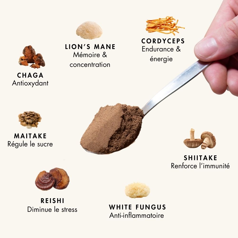 Complex - Mix 7 champignons 100g