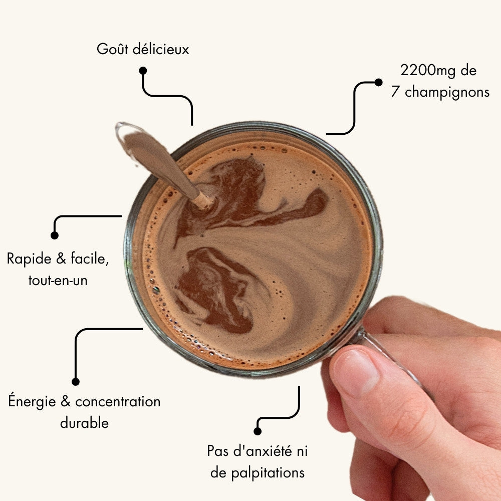 Start Chocolat